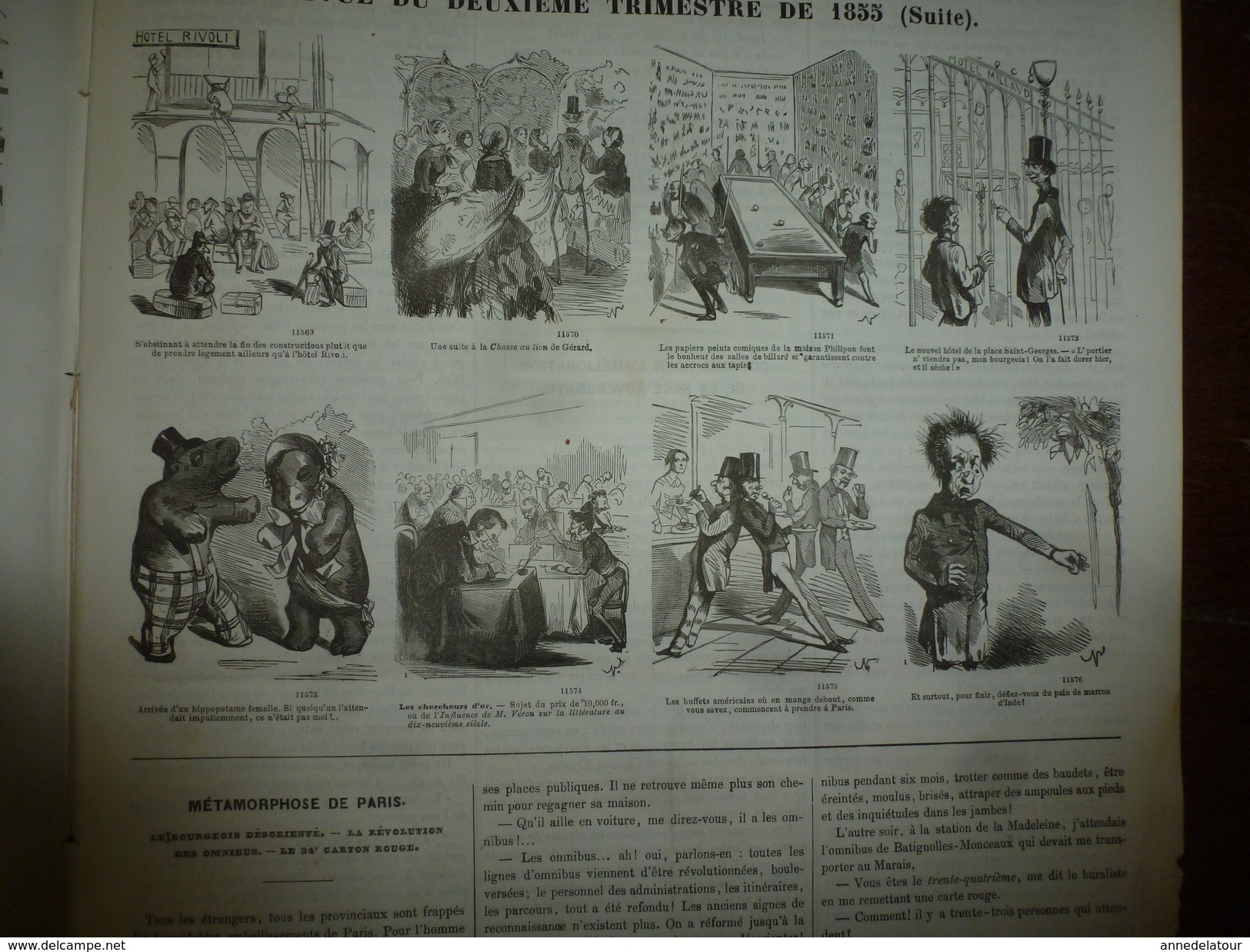 1855 Gravures  Du Journal Pour Rire: REVUE De NADAR; Courses Pour L'amélioration De La Race Auvergnate; Etc - Non Classés