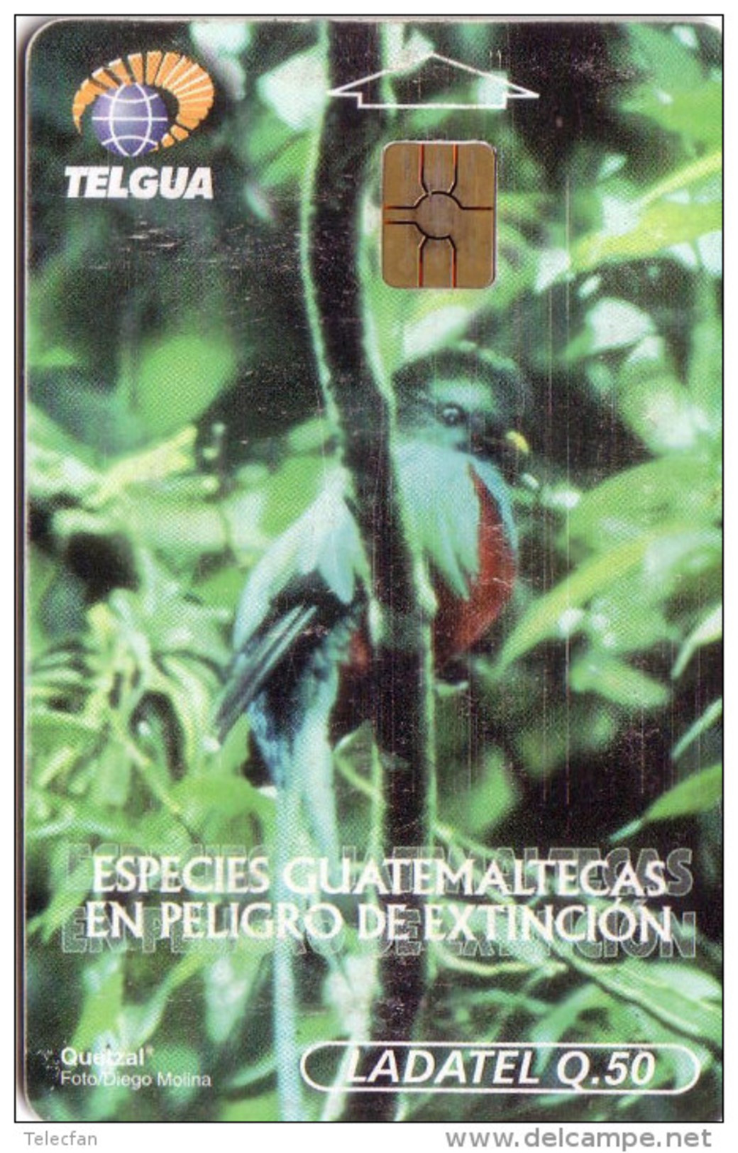 GUATEMALA OISEAU VOGEL BIRD  QUETZAL Q50 UT - Guatemala