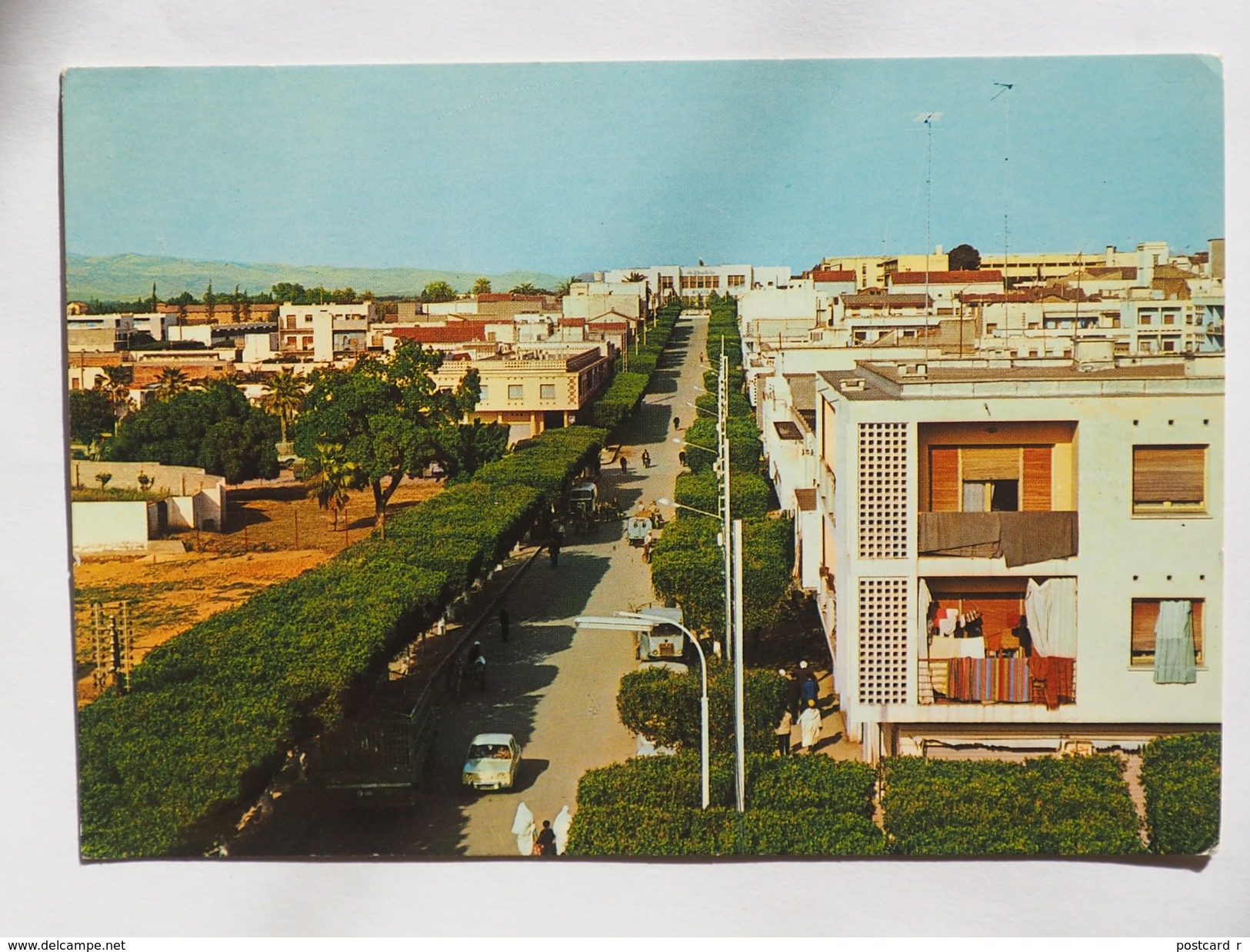 Algeria El Asnam View 1979   A 125 - Autres & Non Classés
