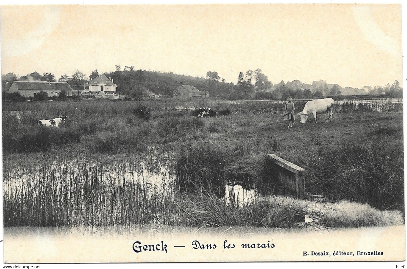 Genck NA5: Dans Les Marais - Genk