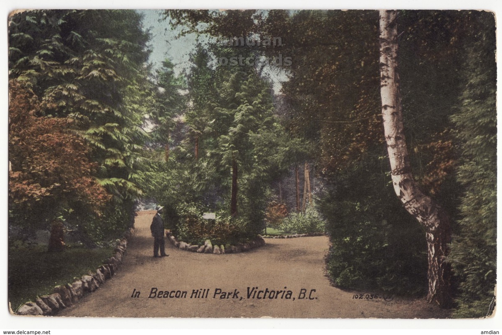 VICTORIA BC Canada, BEACON HILL PARK VIEW - PATHWAYS AND PLANTS - C1912 Vintage Postcard - Victoria