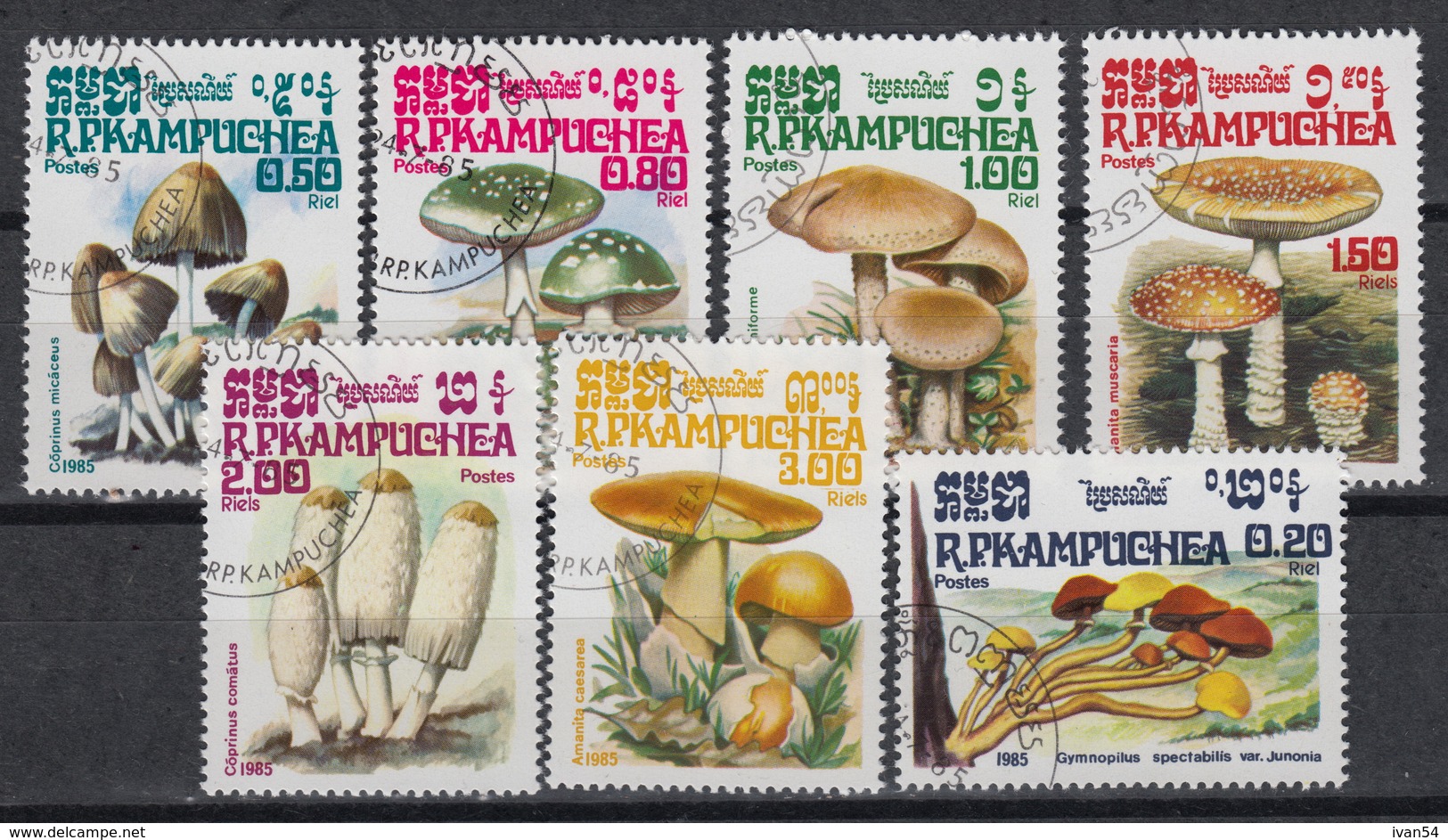 KAMPUCHEA 576-82 (0)  &ndash; Paddenstoelen Champignons Mushrooms (1985) - Kampuchea