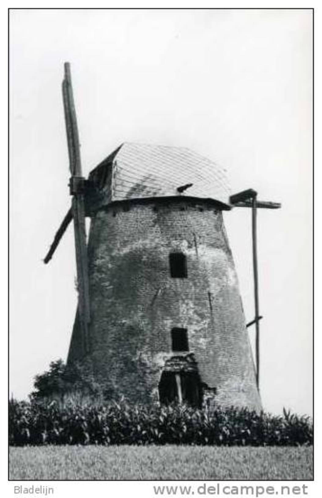 ELENE ~ Zottegem (O.Vl.) - Molen/moulin - Historische Opname Van De Stenen Molen, Voor Verwijdering Van De Houten Wieken - Zottegem