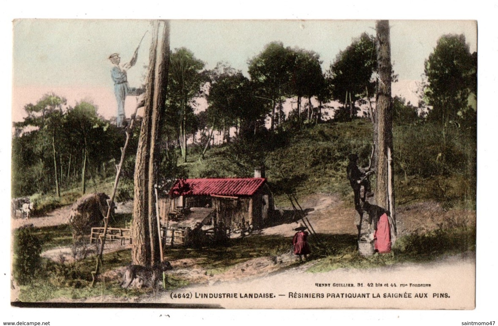 40 - L'IINDUSTRIE LANDAISE . Résiniers Pratiquant La Saignée Aux Pins - Réf. N°1552 - - Altri & Non Classificati