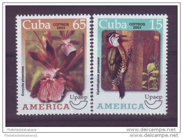 2003.106 CUBA 2003 AMERICA UPAEP ORCHILD ORQUIDEA FLOWER FLORES BIRD PAJARO CARPINTERO. MNH SET - Neufs