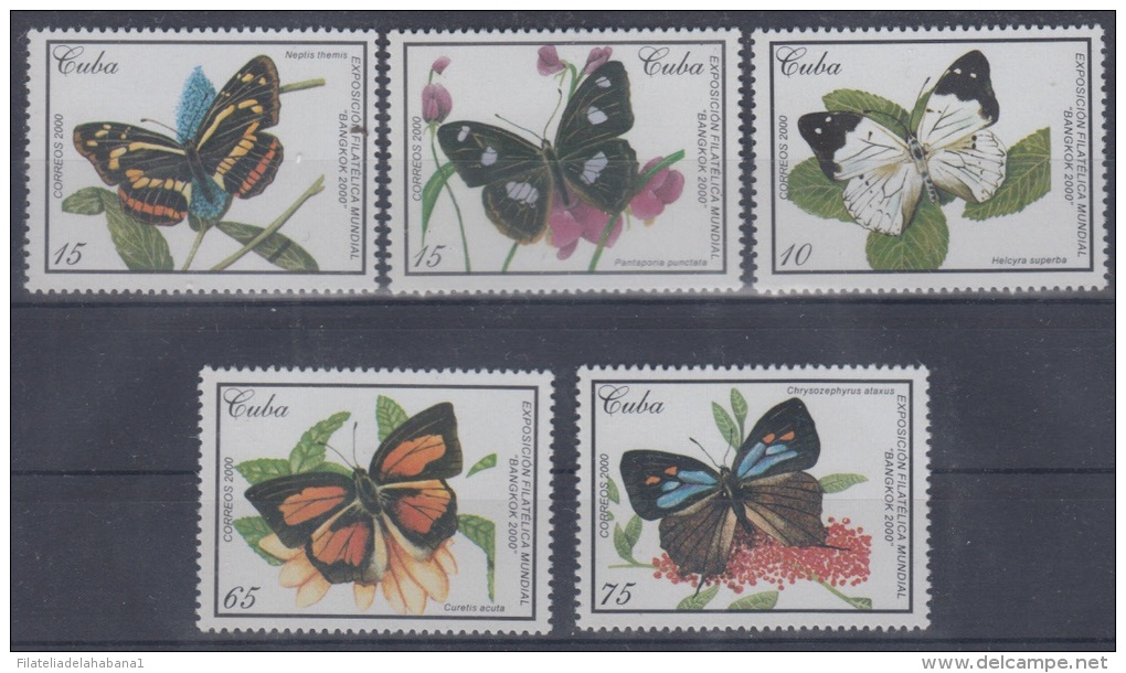 2000.34- * CUBA 2000. MNH. MARIPOSAS. BUTTERFLIES. - Gebraucht