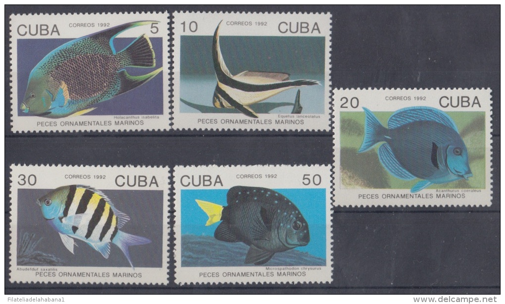 1992.34 CUBA MNH. 1992. PECES ORNAMENTALES  MARINOS. FISH. - Neufs