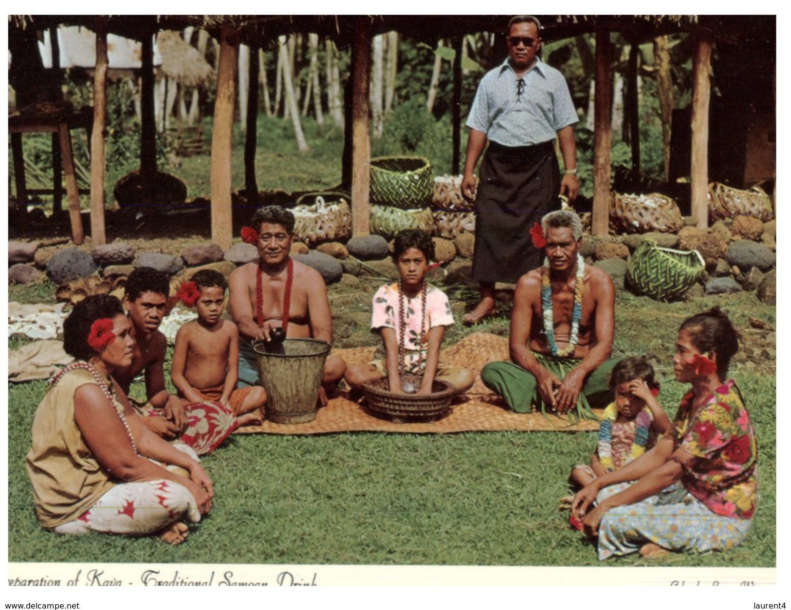 (716) American Samoa Kava Preparation - Samoa Americana