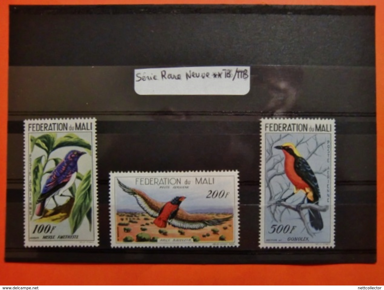 TB COLLECTION OISEAUX / AFRIQUE DU SUD TIMBRES NEUFS** TTB/LUXE - Collections, Lots & Séries