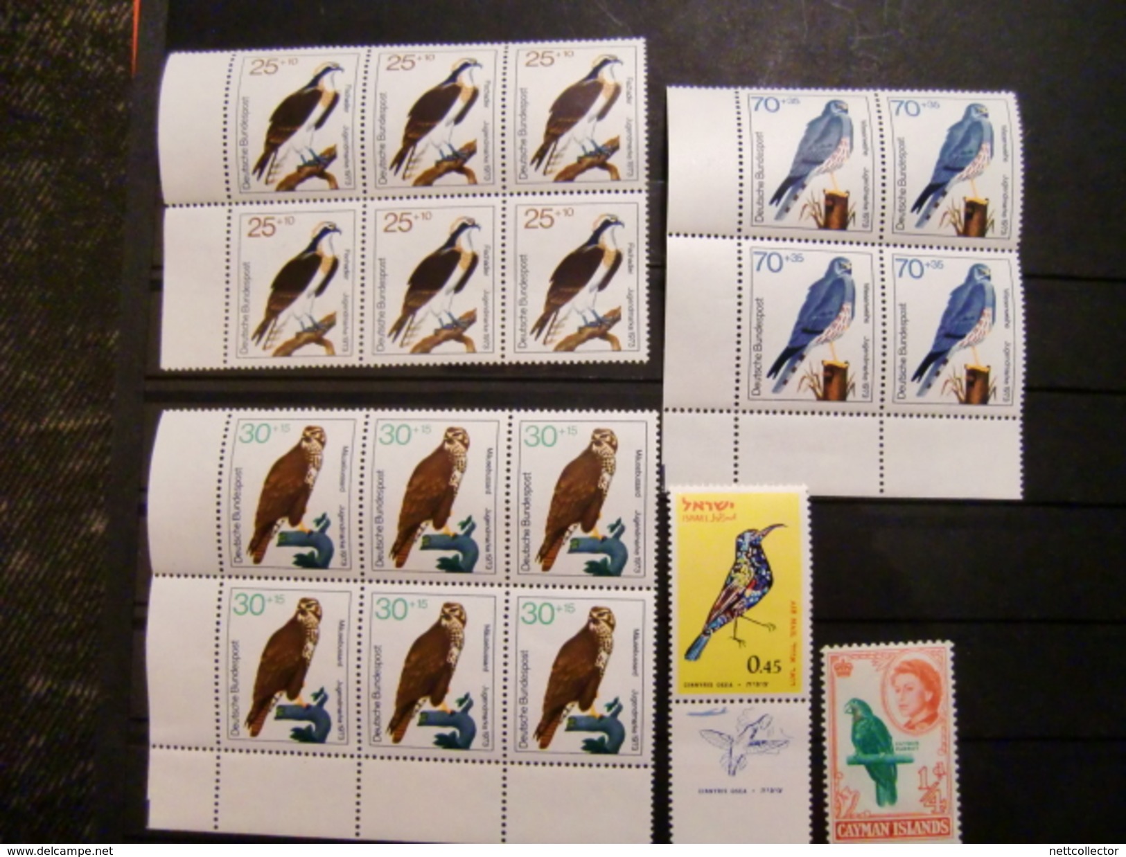 TB COLLECTION OISEAUX / AFRIQUE DU SUD TIMBRES NEUFS** TTB/LUXE