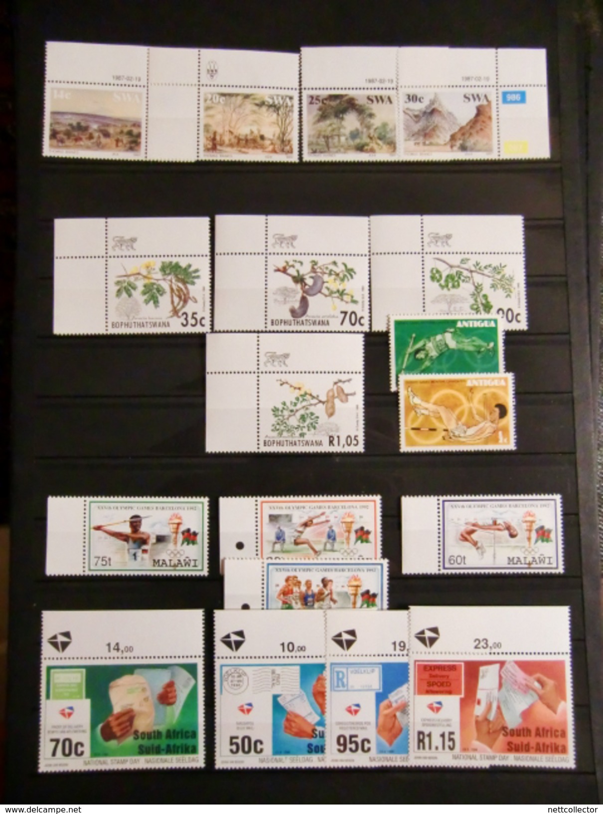 TB COLLECTION OISEAUX / AFRIQUE DU SUD TIMBRES NEUFS** TTB/LUXE