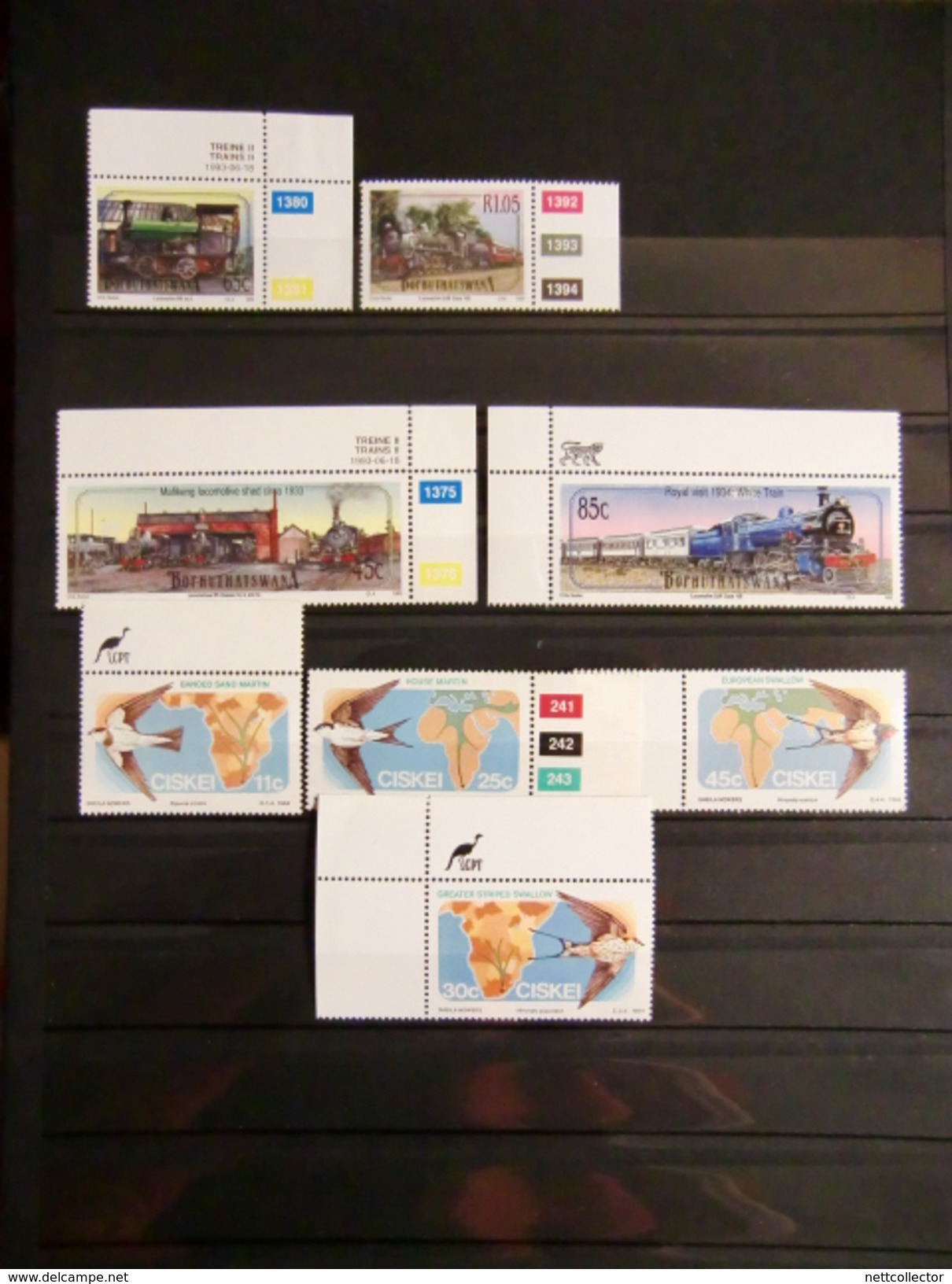 TB COLLECTION OISEAUX / AFRIQUE DU SUD TIMBRES NEUFS** TTB/LUXE