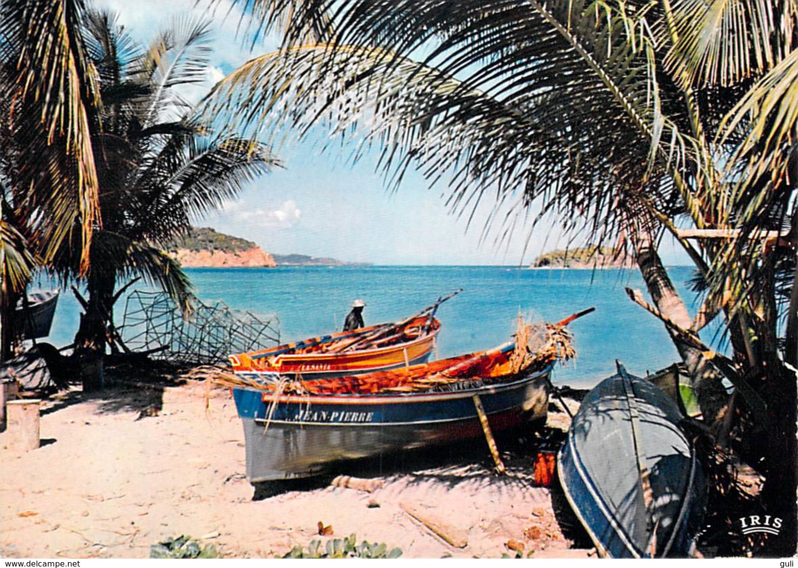 972 DOM  (MARTINIQUE) Antilles Radieuses Barques De Pêche Fishing  Boats (Jean-Pierre..)  -  * PRIX FIXE - Fort De France