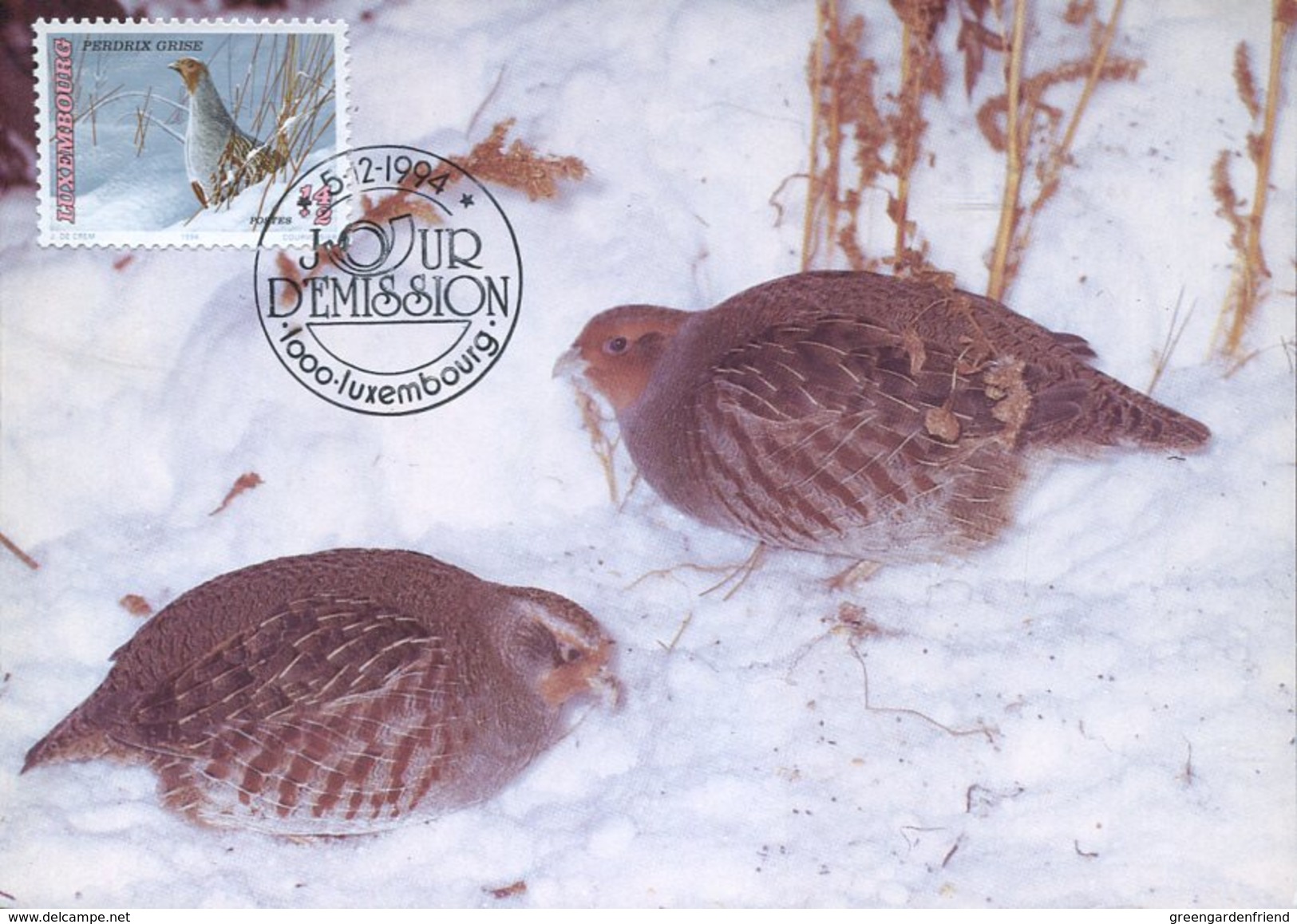 20988 Luxembourg,  Maximum 1994  Bird,  Oiseau, Vogel, - Cartes Maximum