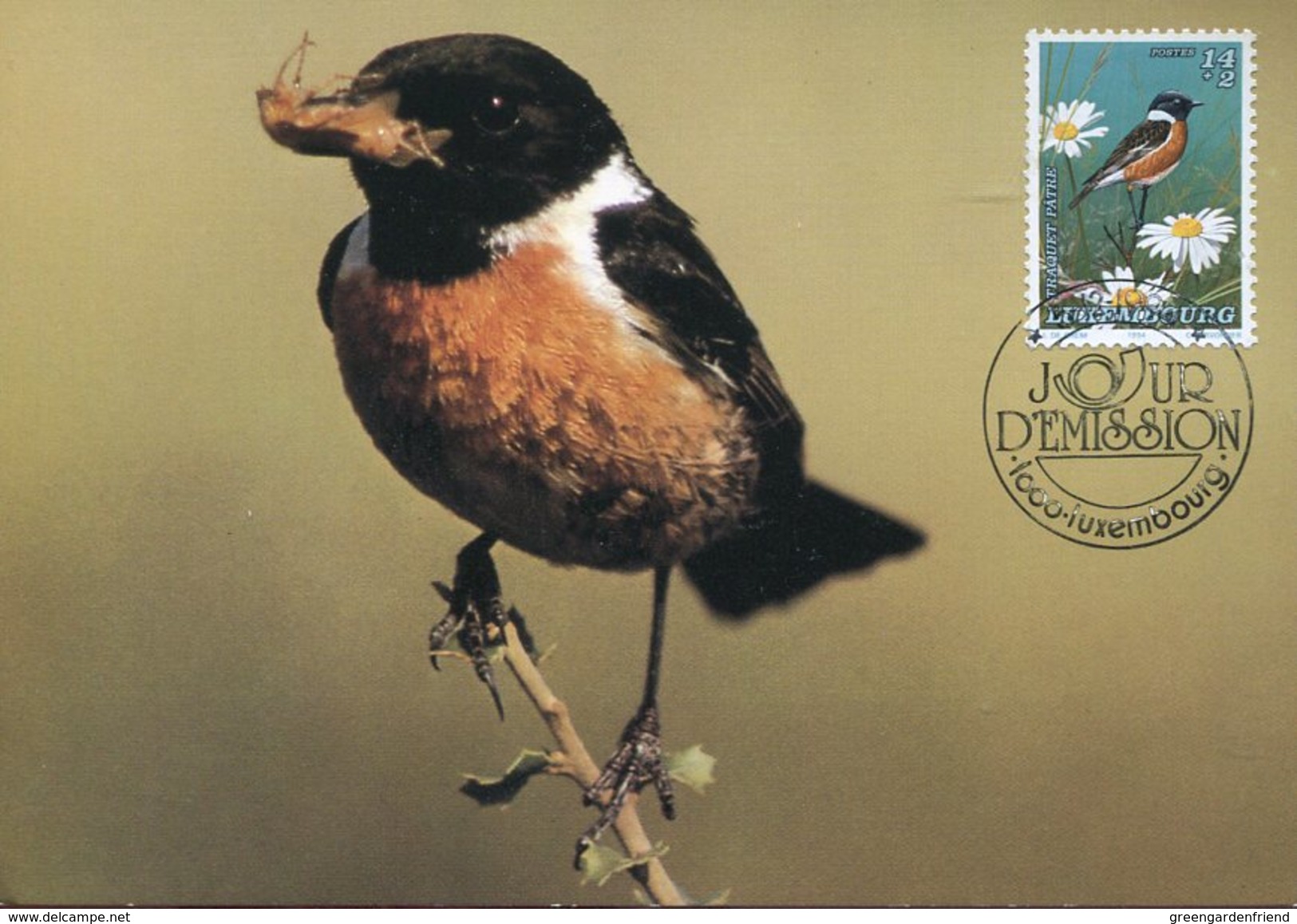 20989 Luxembourg,  Maximum 1994  Bird,  Oiseau, Vogel, - Cartes Maximum