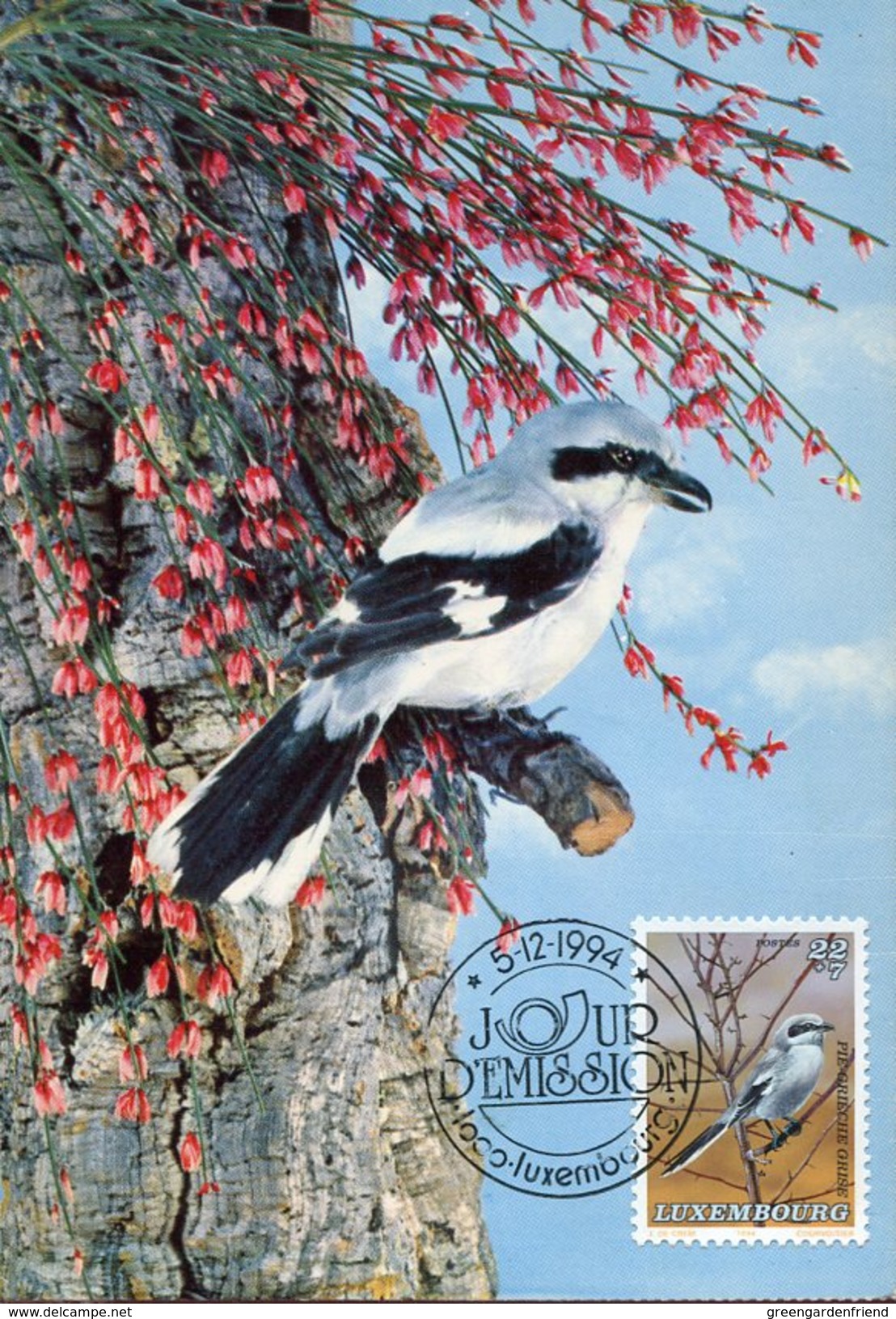 20994 Luxembourg,  Maximum 1994  Bird,  Oiseau, Vogel, - Cartes Maximum