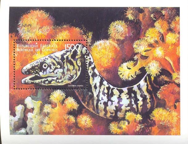 COMORES   877  MINT NEVER HINGED SOUVENIR SHEET OF FISH-MARINE LIFE - Fische