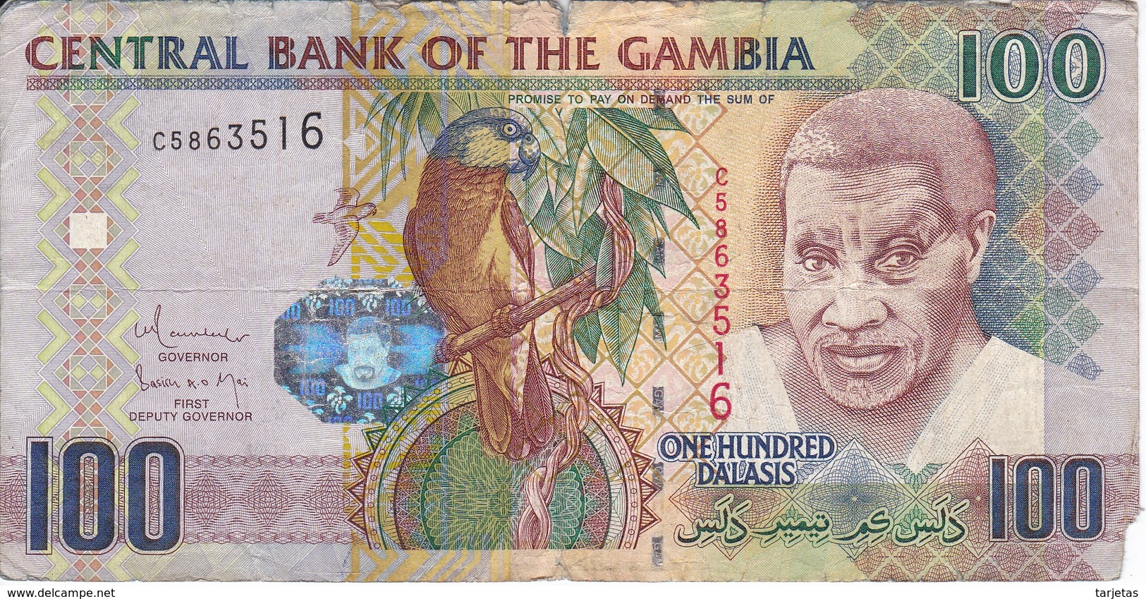 BILLETE DE GAMBIA DE 100 DALASIS DEL AÑO 2010   (BANKNOTE) BIRD-PAJARO-LORO-PARROT - Gambia