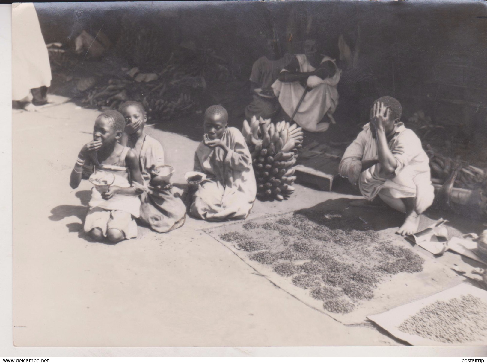 DRIED ANTS  1935      SUD AFRICA    PRESS Fotos - Personas Identificadas