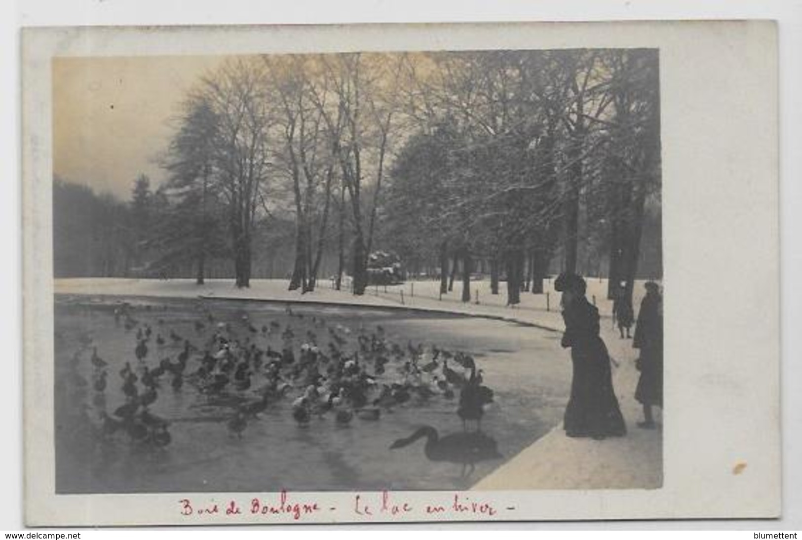 CPA Photo PARIS Non Circulé Bois De Boulogne - Autres & Non Classés