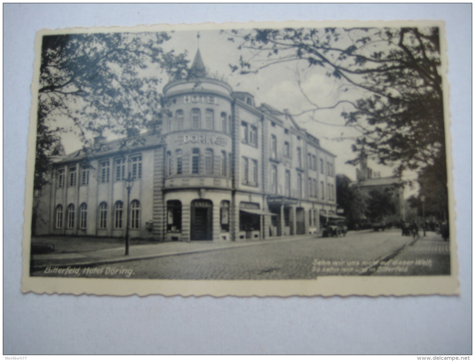 BITTERFELD  , Schöne Karte Um 1936 - Bitterfeld