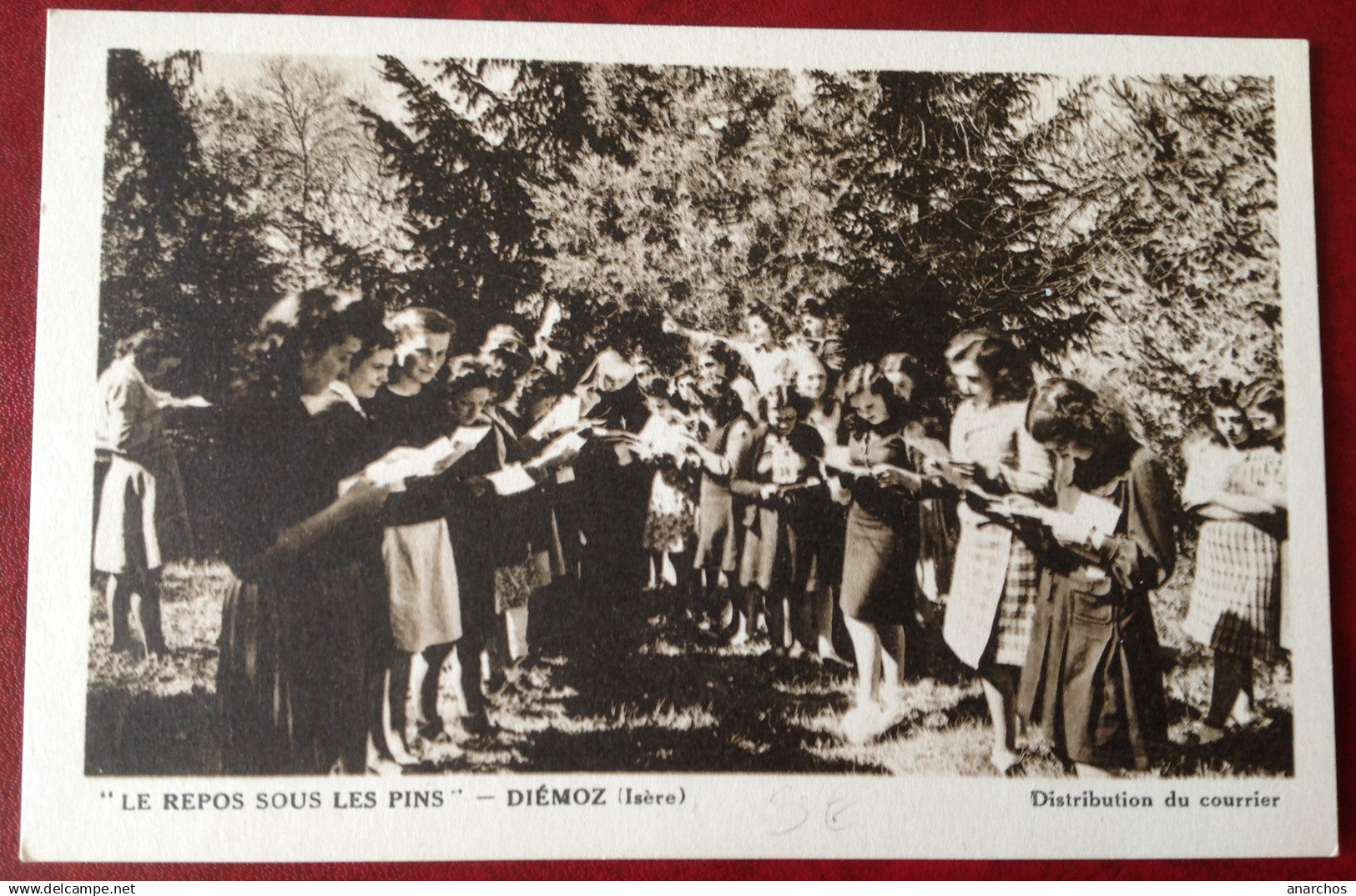 38 DIEMOZ Le Repos Sous Les Pins - Distribution Du Courrier (RARE) - Diémoz