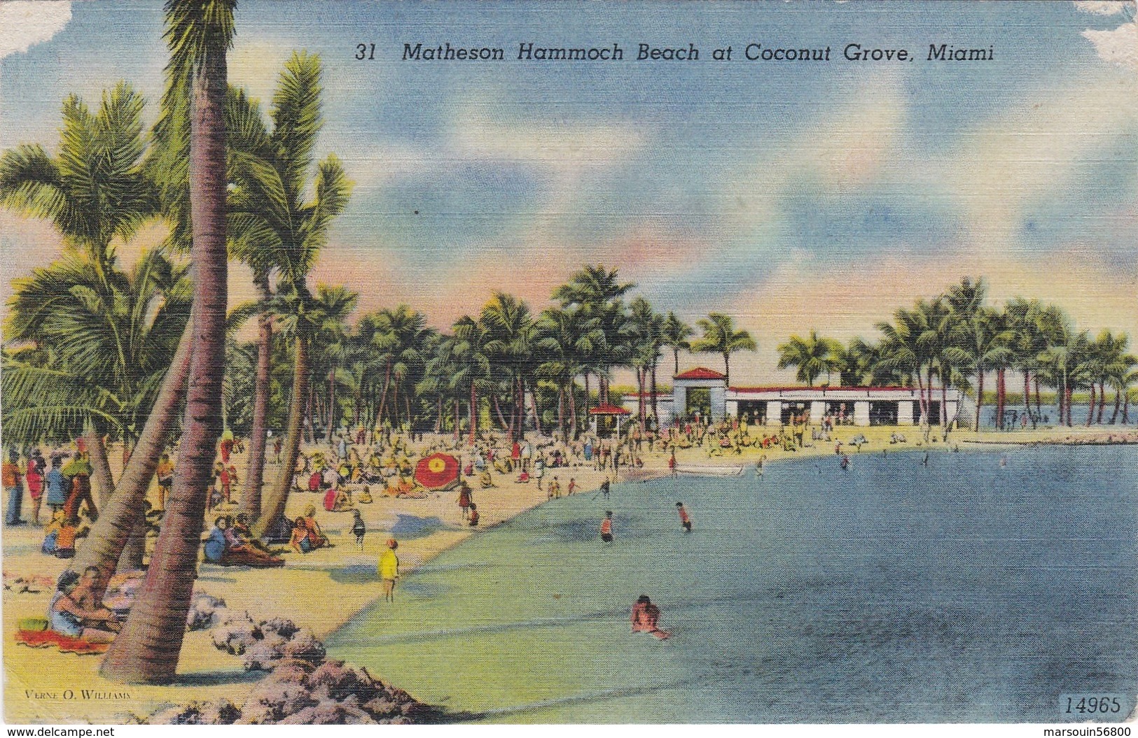 CPA - N° 31 - ETATS UNIS - MIAMI - Matheson Hammoch Beach At Coconut Grove - Miami