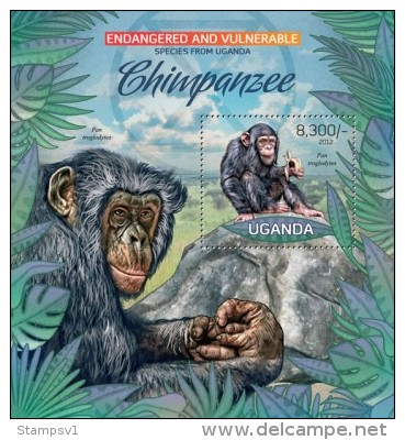 Uganda. 2012 Chimpanzee. (408b) - Chimpanzés