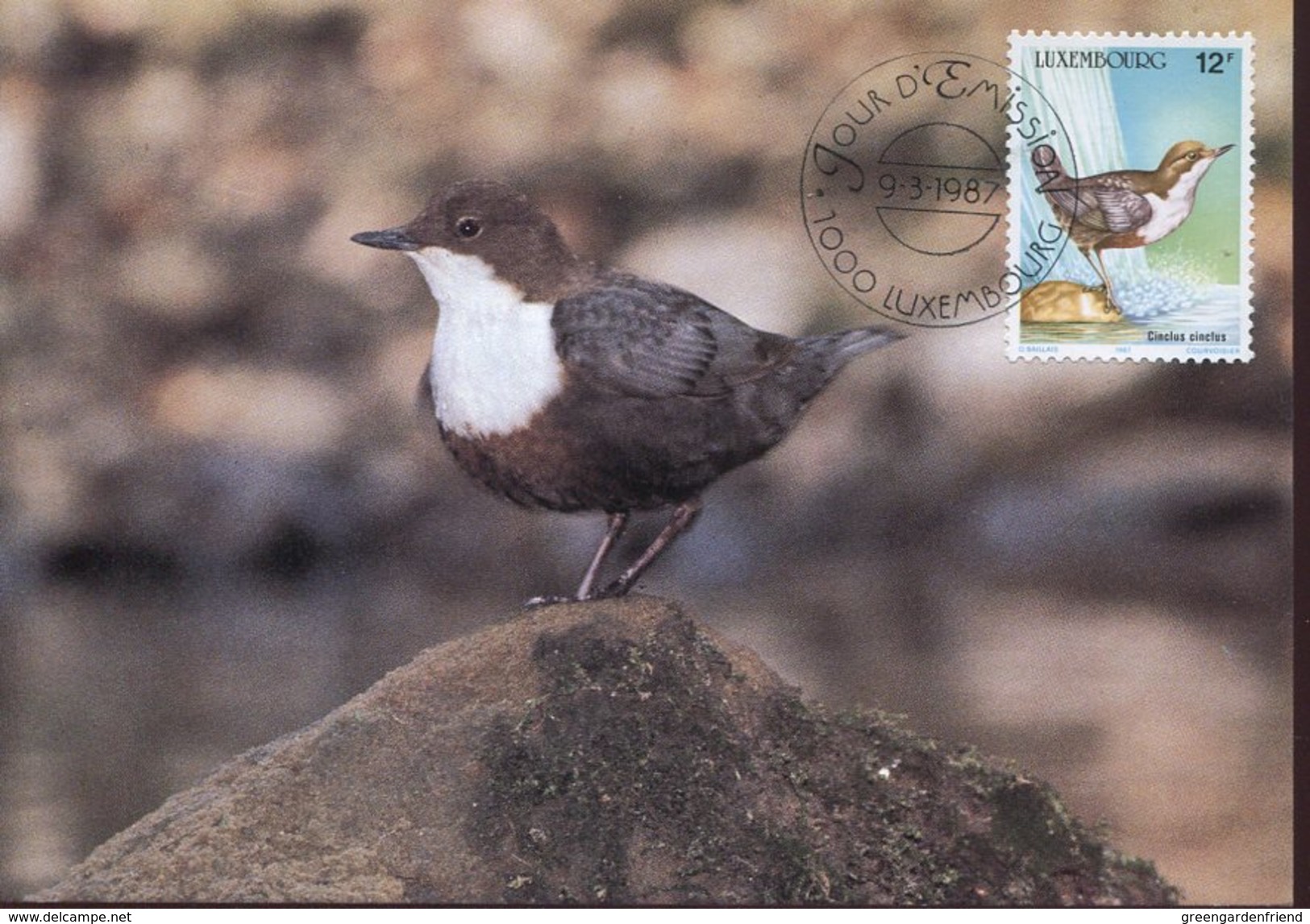 21001 Luxembourg,  Maximum 1987 Vogel, Oiseau, Bird  12f - Cartes Maximum