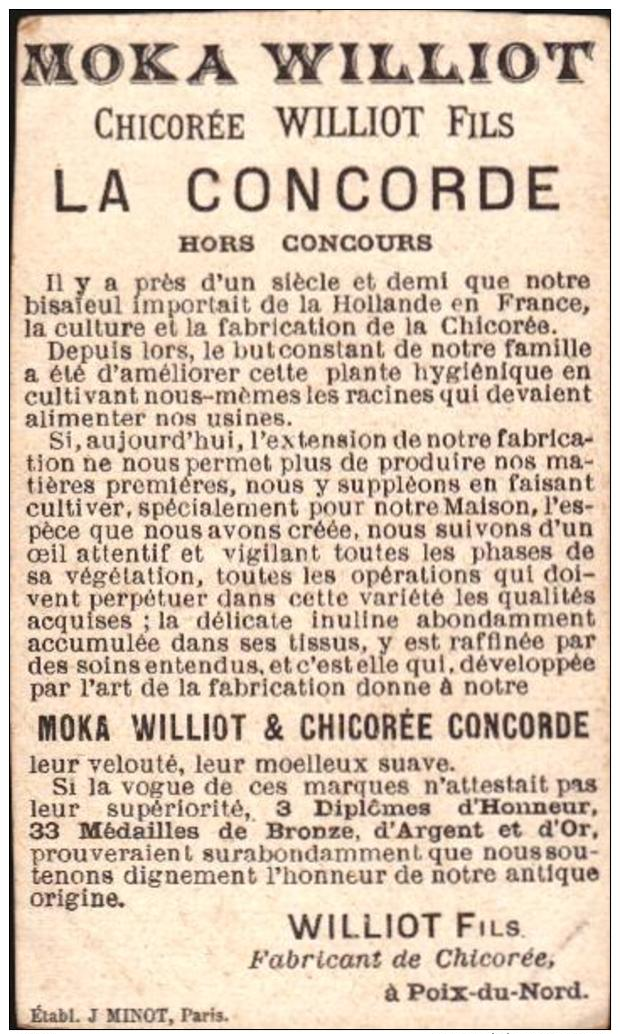 5 Chromo - Chicorée  - Moka  Williot - La Concorde - Bill-593 - R/V