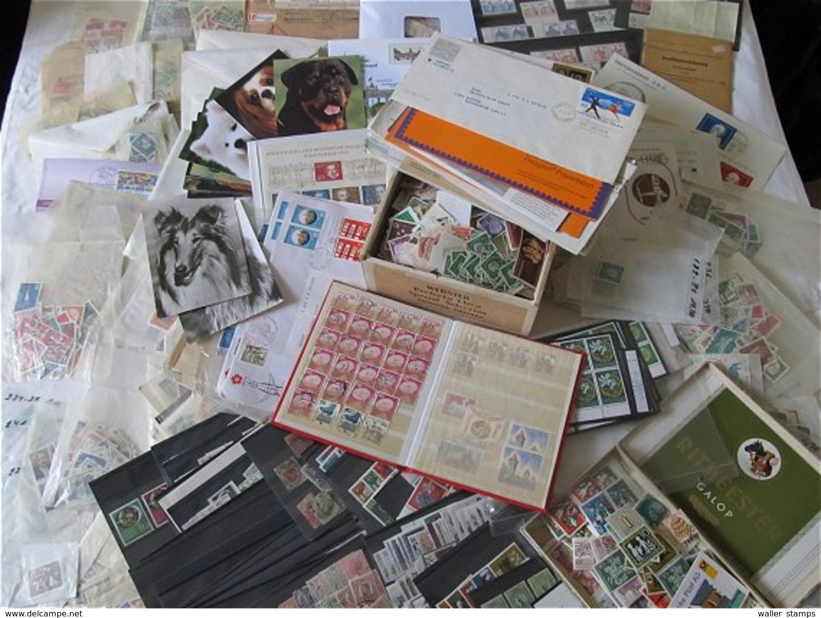 Lot With World Stamps - Lots & Kiloware (mixtures) - Min. 1000 Stamps