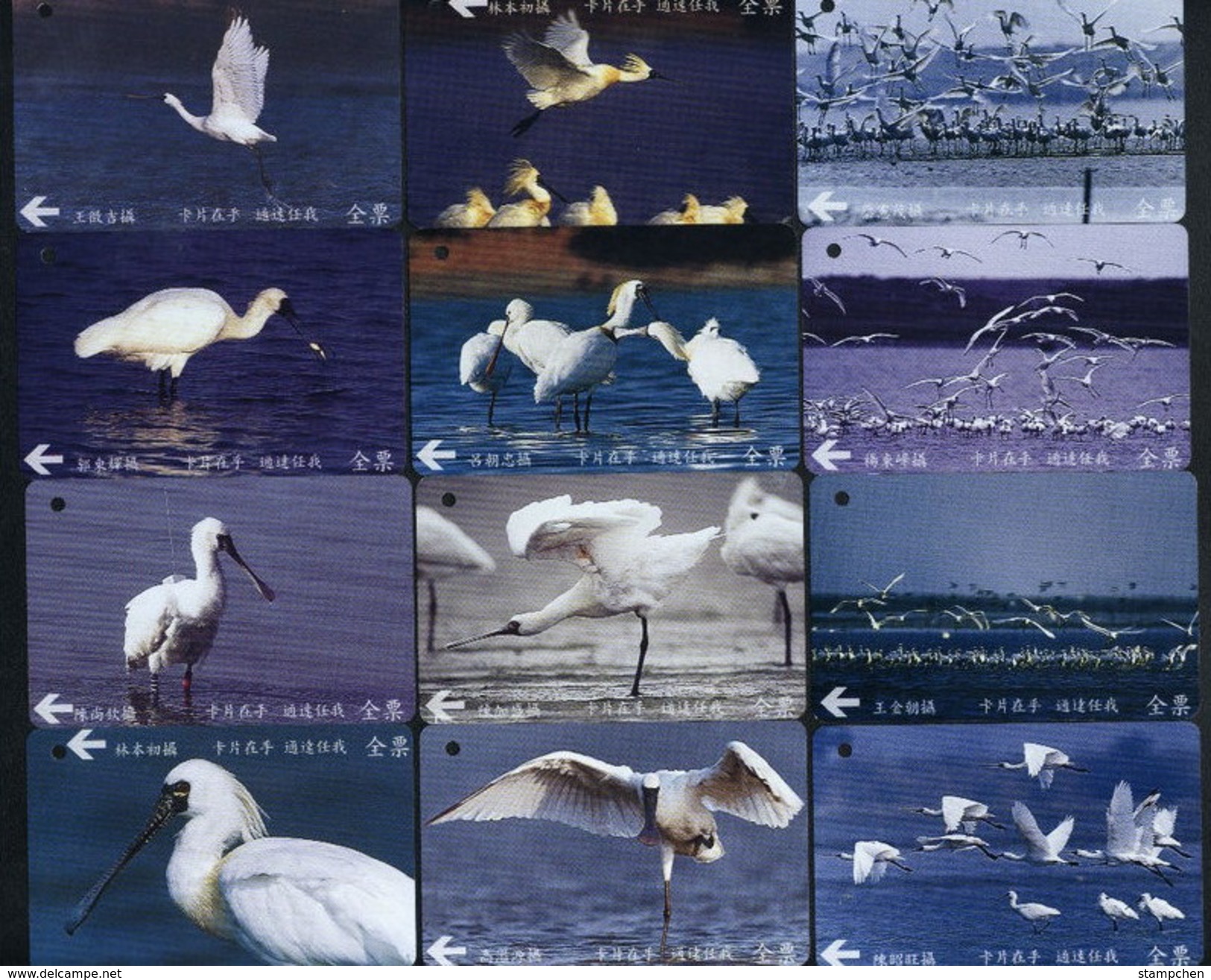 Complete Set Of 12 Taiwan Early Bus Ticket Cards Black-faced Spoonbill Bird (A0048-0059) - Cars