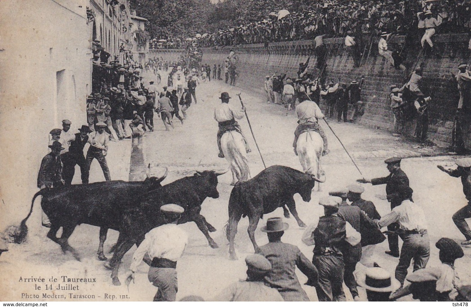 30-----BEAUCAIRE---arrivée De Taureaux La 14 Juillet----voir 2 Scans - Beaucaire