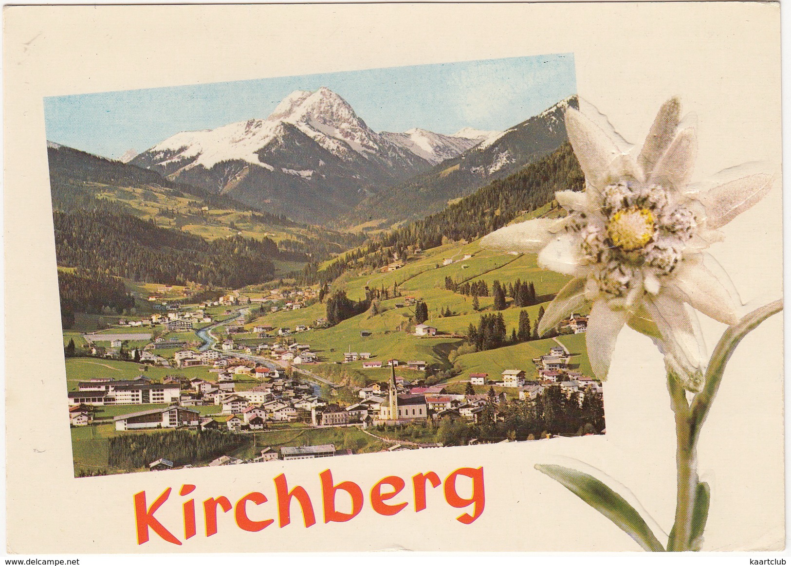 Sommerfrische Kirchberg In Tirol Gegen Rettenstein - EDELWEISS (Geprägt/Embossed/Reliëf Druk)  - Österreich/Austria - Kirchberg