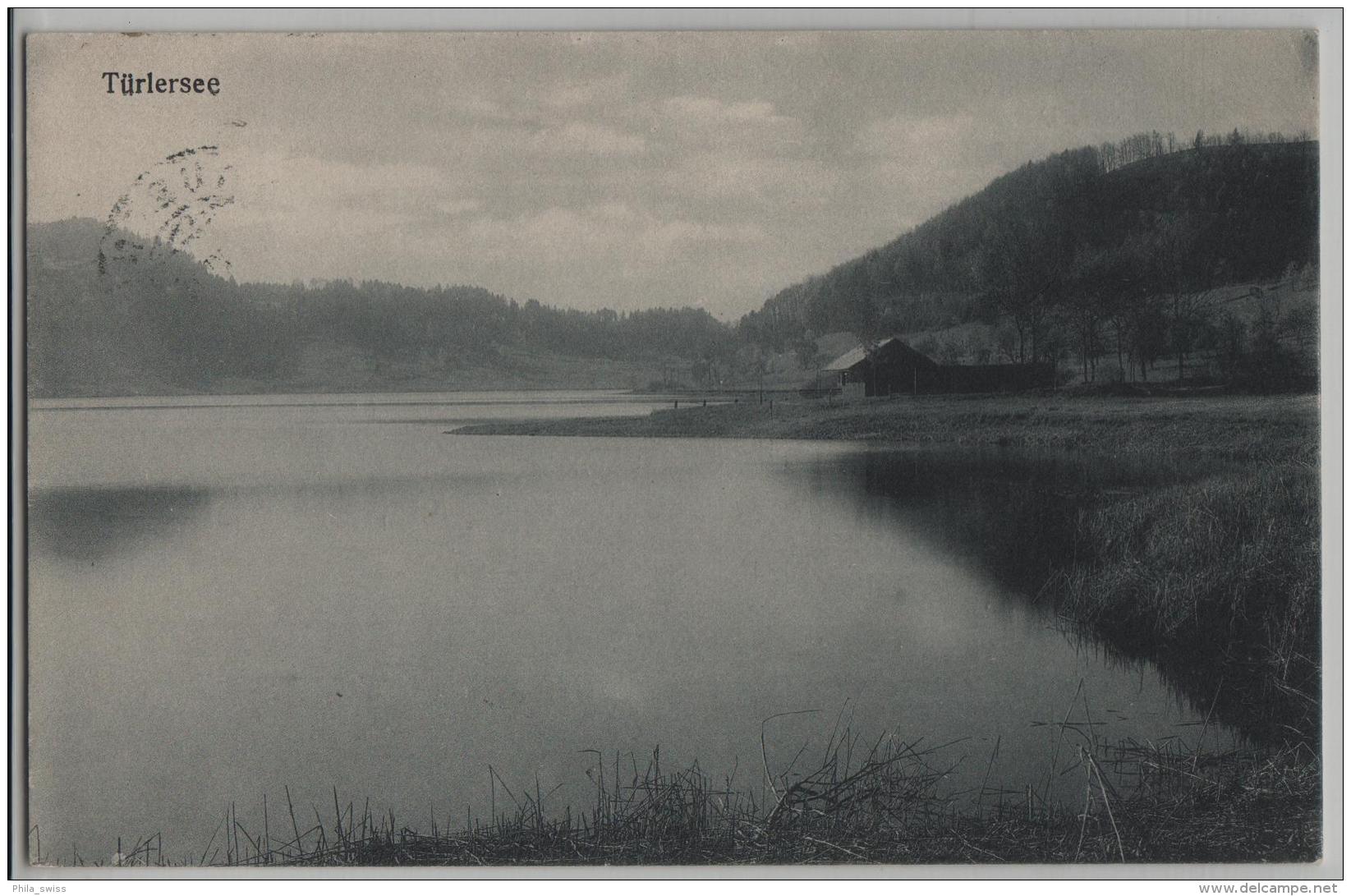 Türlersee - Stempel: Hausen A/A - Photo: E. Goetz No. 3130 - Hausen Am Albis 