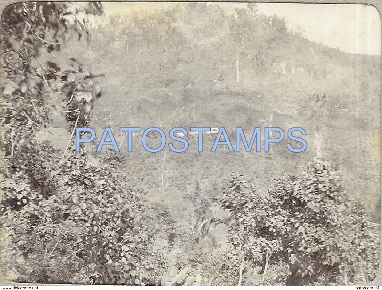 71142 MEXICO CULIACAN FINCA SAN CARLOS LANDSCAPE FOUR 4 PHOTO ALBUMINA NO TYPE POSTCAR - Photographie