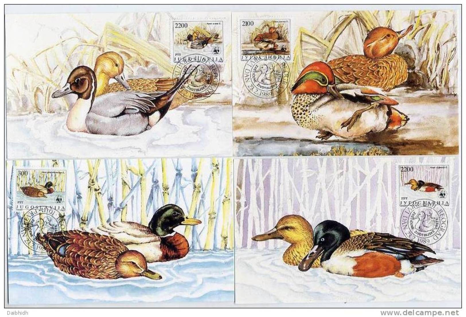 YUGOSLAVIA 1989 WWF: Ducks On 4 Maximum Cards.  Michel 2328-31 - Cartoline Maximum