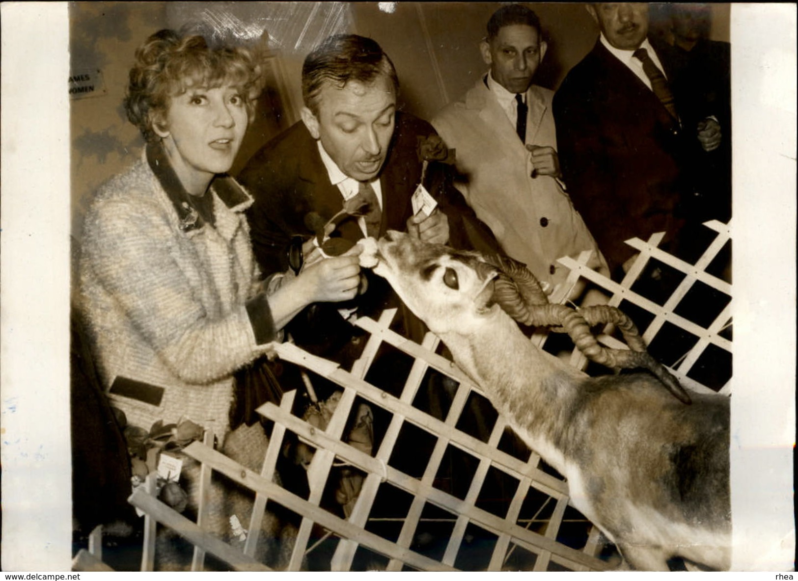 PHOTO - Photo De Presse - Acteurs - Colette Brosset Et Robert Dhery - Antilope - 1965 - Célébrités