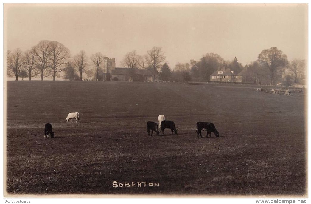 Hants  -  SOBERTON, Church & Cow Field  - Real Photo. - Autres & Non Classés