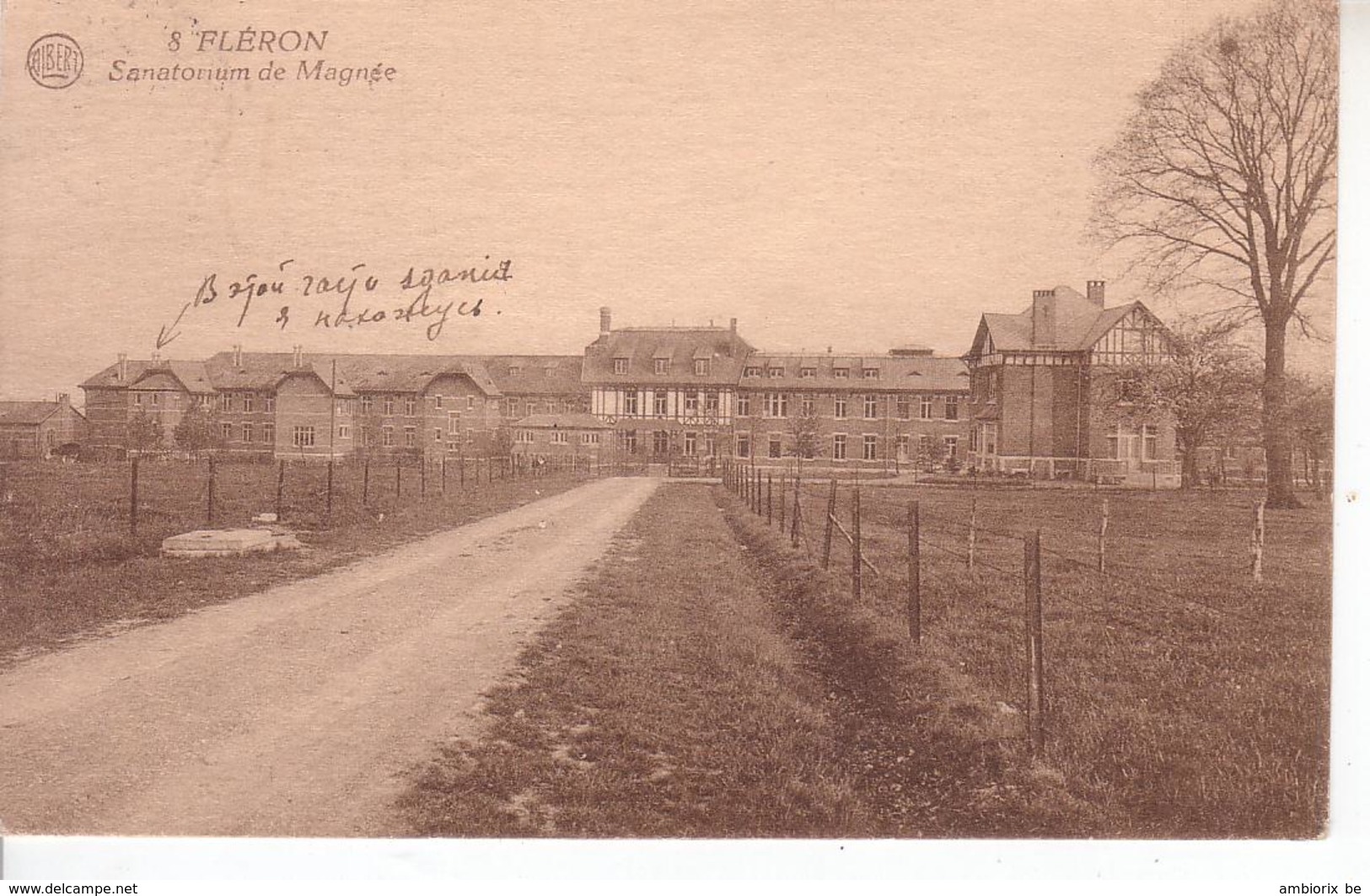 Fléron - Sanatorium De Magnée - Edition Albert - Fléron