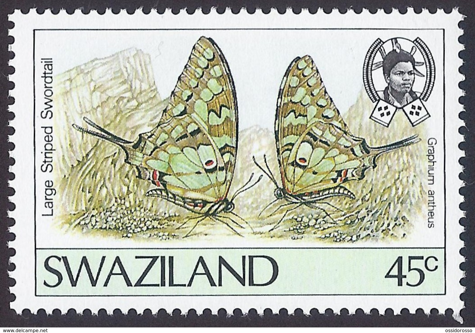 1992 - Larger Striped Swordtail (Graphium Antheus) -  Yt:SZ 606 - MNH - Swaziland (1968-...)