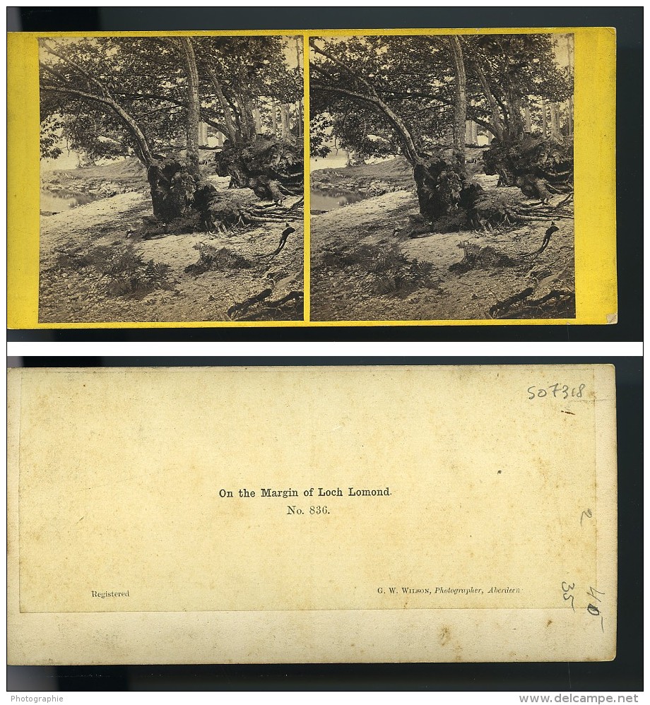 Royaume Uni Ecosse Sur Les Bords Du Loch Lomond Anciennne Photo Stereo GW Wilson 1865 - Stereoscopic