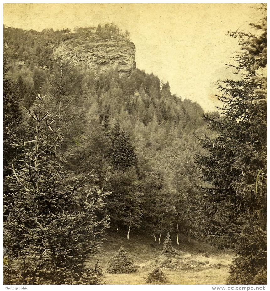 Royaume Uni Ecosse Braemar Invercauld Lion's Face Rock Anciennne Photo Stereo GW Wilson 1865 - Stereoscopic