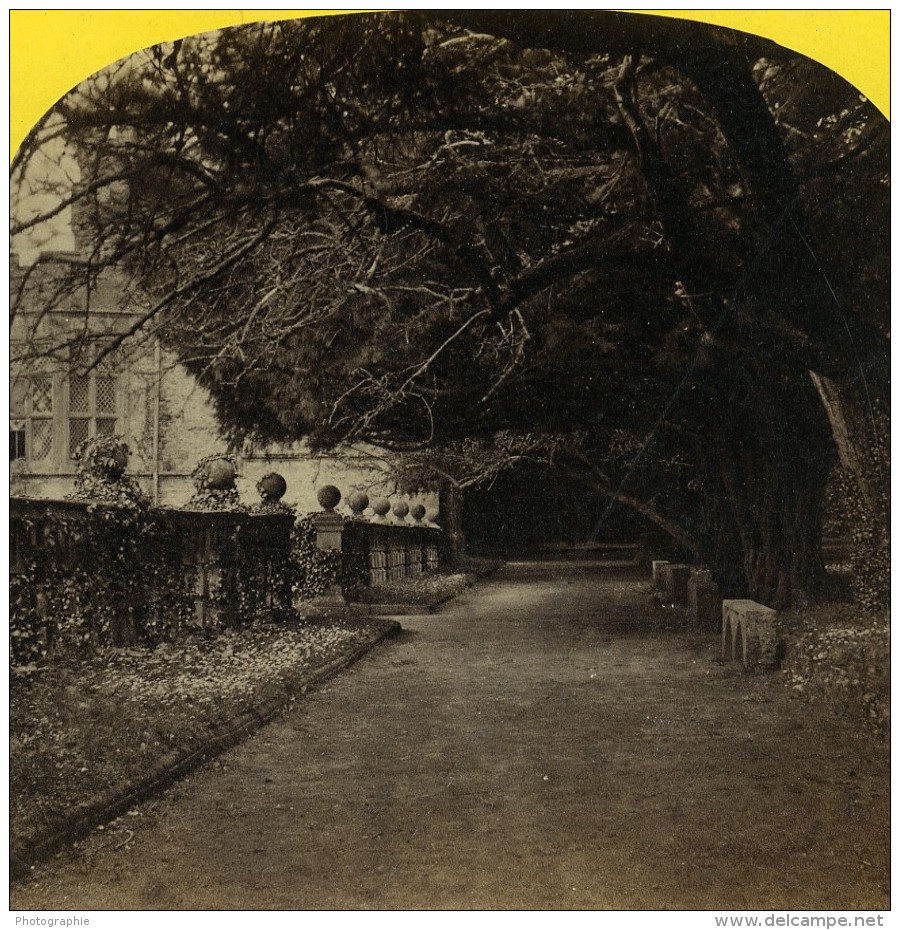 Royaume Uni Derbyshire Haddon Hall Jardins Promenade Anciennne Photo Stereo Petschler 1865 - Stereoscopic