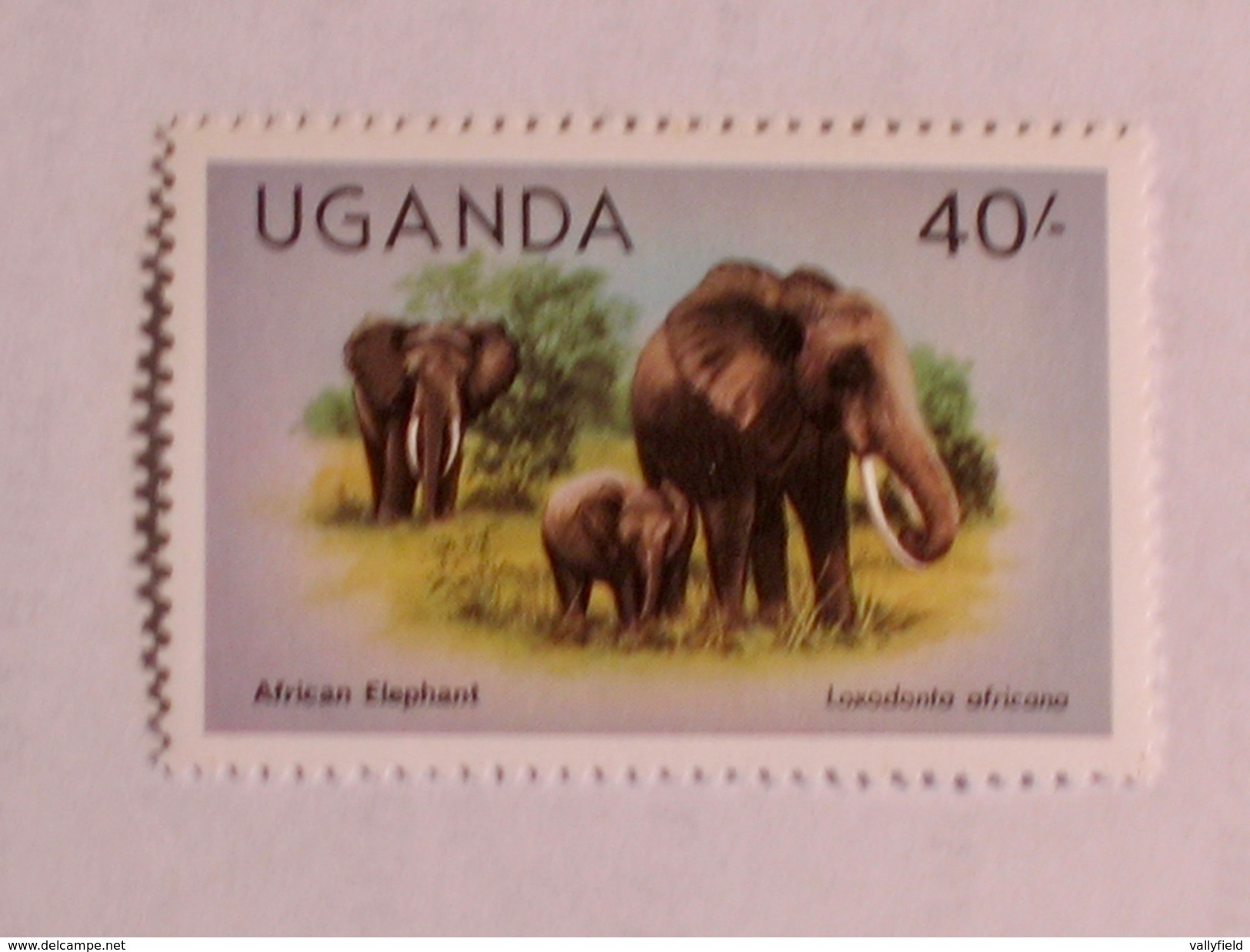 OUGANDA  1979   LOT# 7  ANIMAL - Ouganda (1962-...)