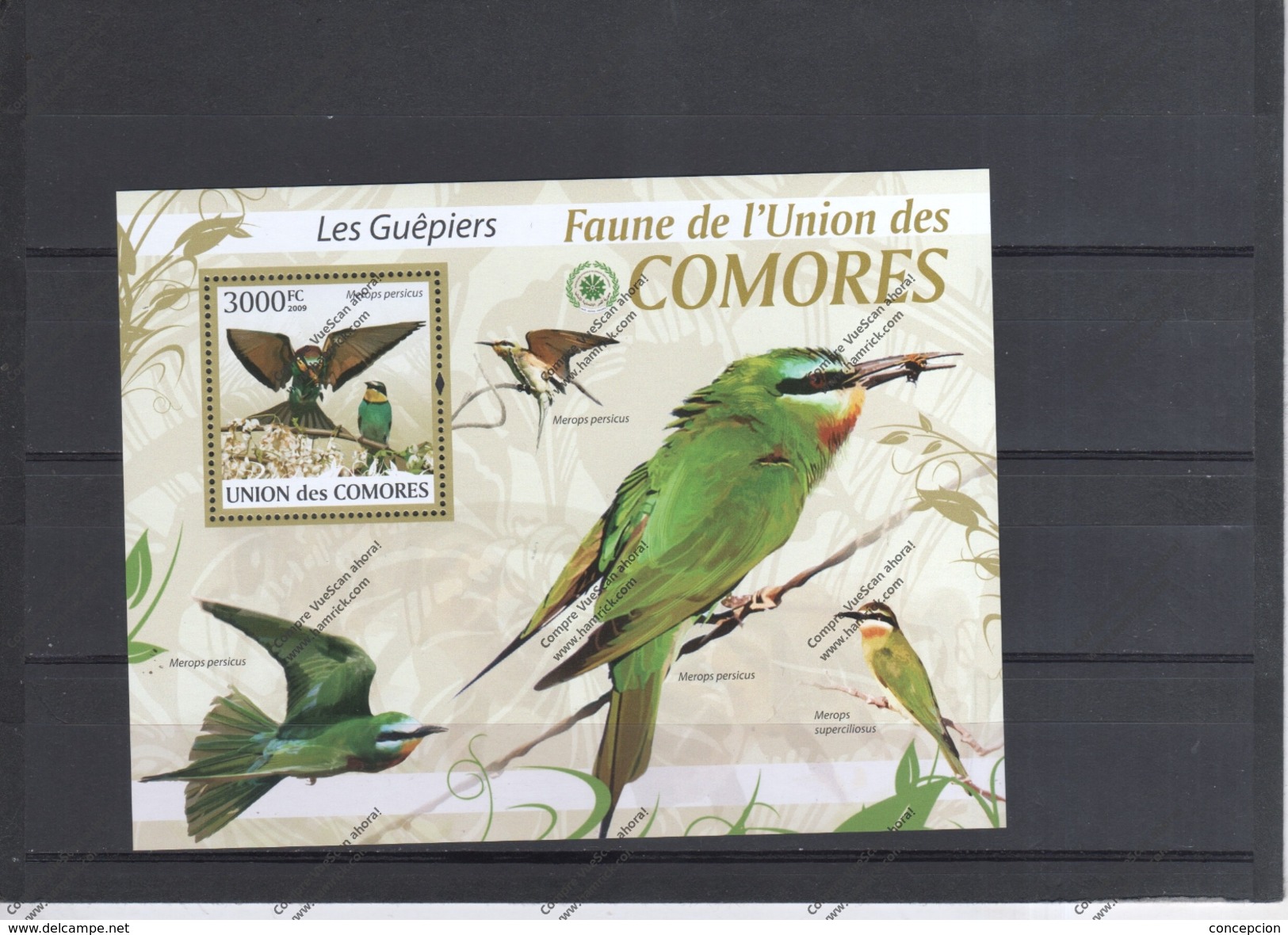 COMORES  Nº - Segler & Kolibris