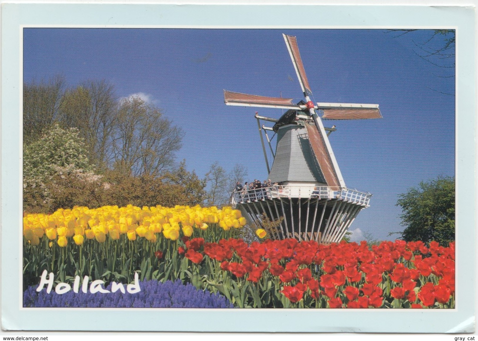 Holland, Netherlands, Windmill, Keukenhof Lisse Used Postcard [20023] - Lisse