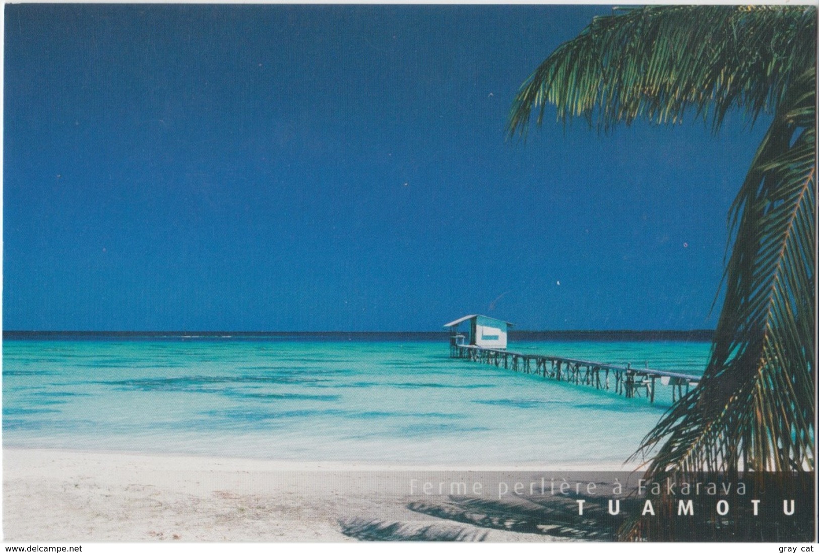 Ferme Perliere A Fakarava, TUAMOTU, Unused Postcard [20033] - Polynésie Française