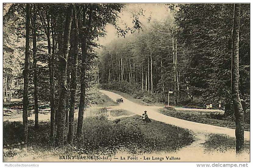 76 - 220417 - SAINT SAENS - La Forêt - Les Longs Vallons -  Croisement Auto - Saint Saens