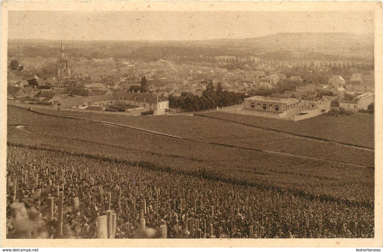 VIGNOBLE D'AY PREMIER CRU DE RAISONS NOIRS COLLECTION CHAMPAGNE POMMERY VIN - Ay En Champagne